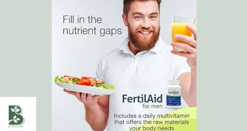 What is Fertilaid For Men? A Beginner’s Guide