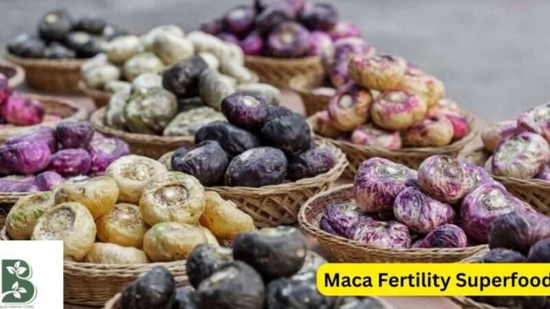 What Is Maca and Can It Increase Fertility?