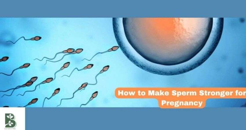 How to Make Sperm Stronger for Pregnancy:Tips and Strategies