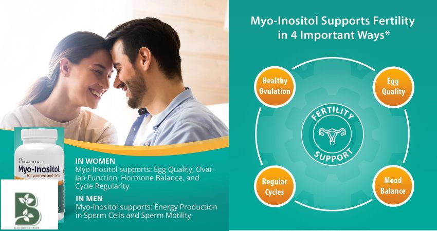 Myo-Inositol and Its Role in Fertility and Menstrual Health: How to Choose the Best Product for You
